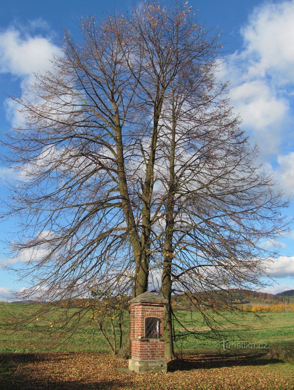 Qual Gottes st. Bürgermeister