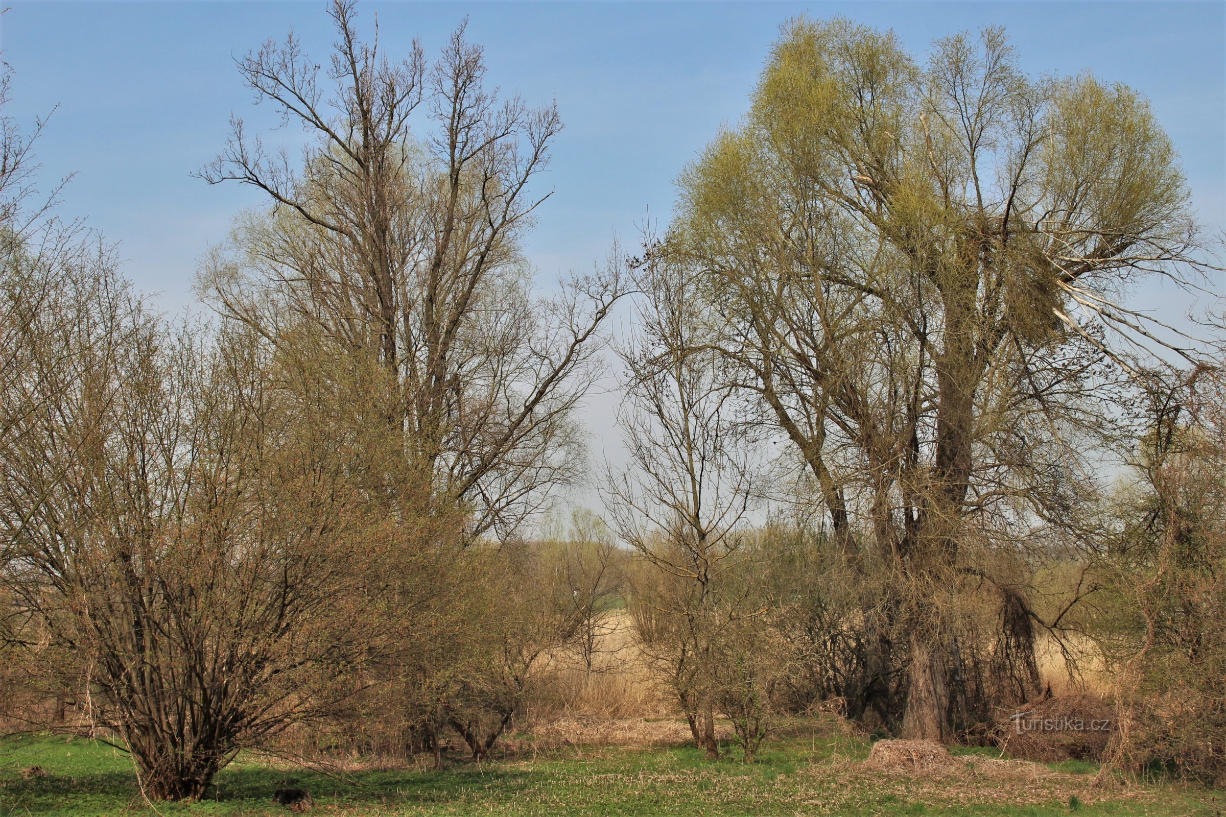 La zone humide de Dieu