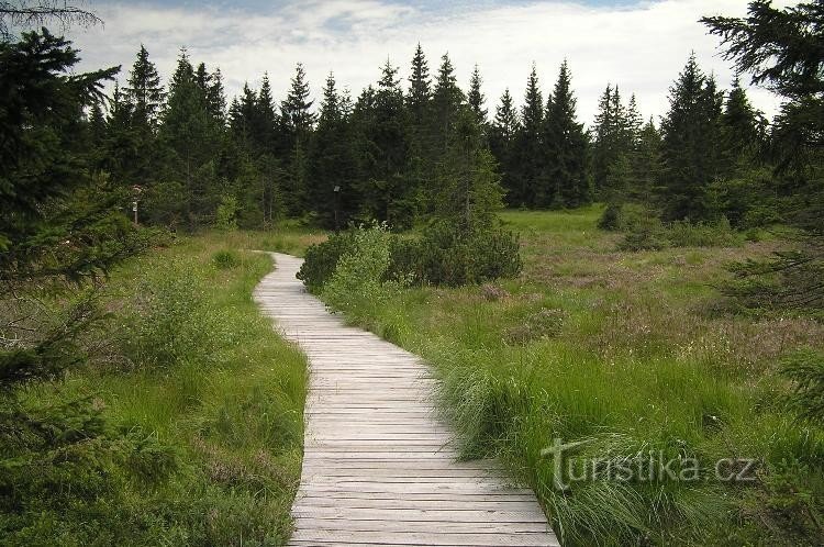 Božidars bog