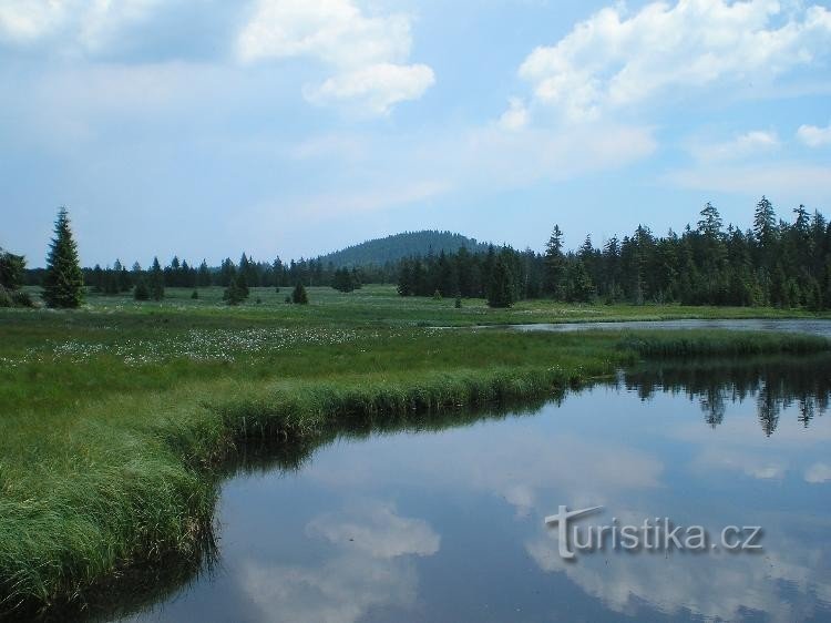 Božídarský Špičák: aus dem Toten Teich