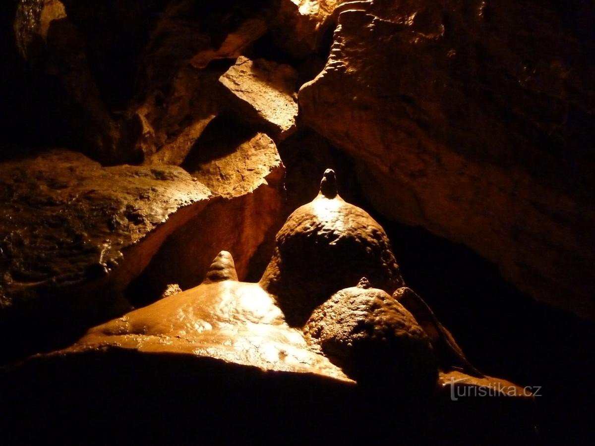 Bozkovsk 白云石洞穴 - 你必须看到的美丽！