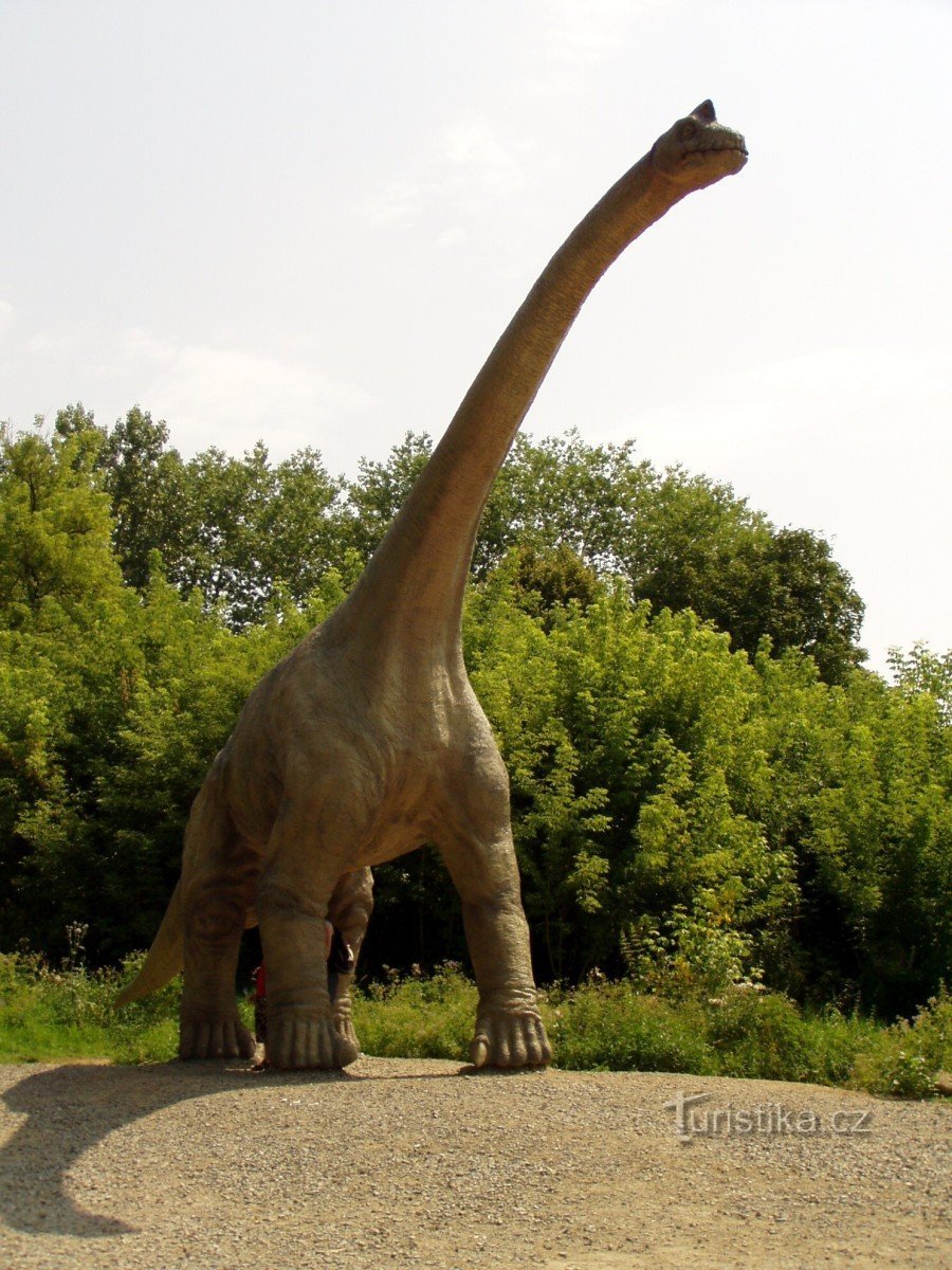 Brachiosaurus