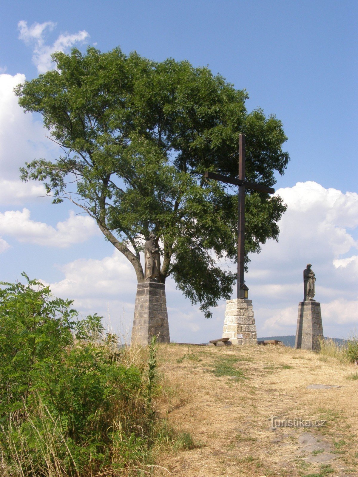 Barbă