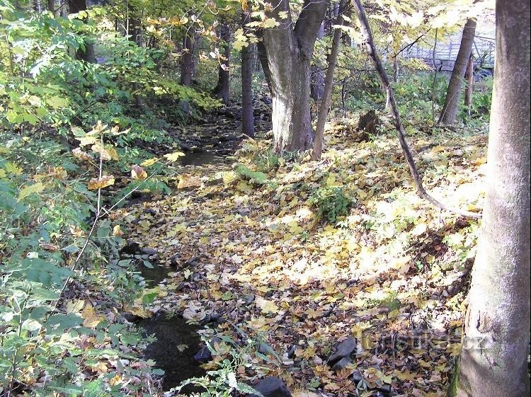 Bradelný potok: Potok na Boňkově