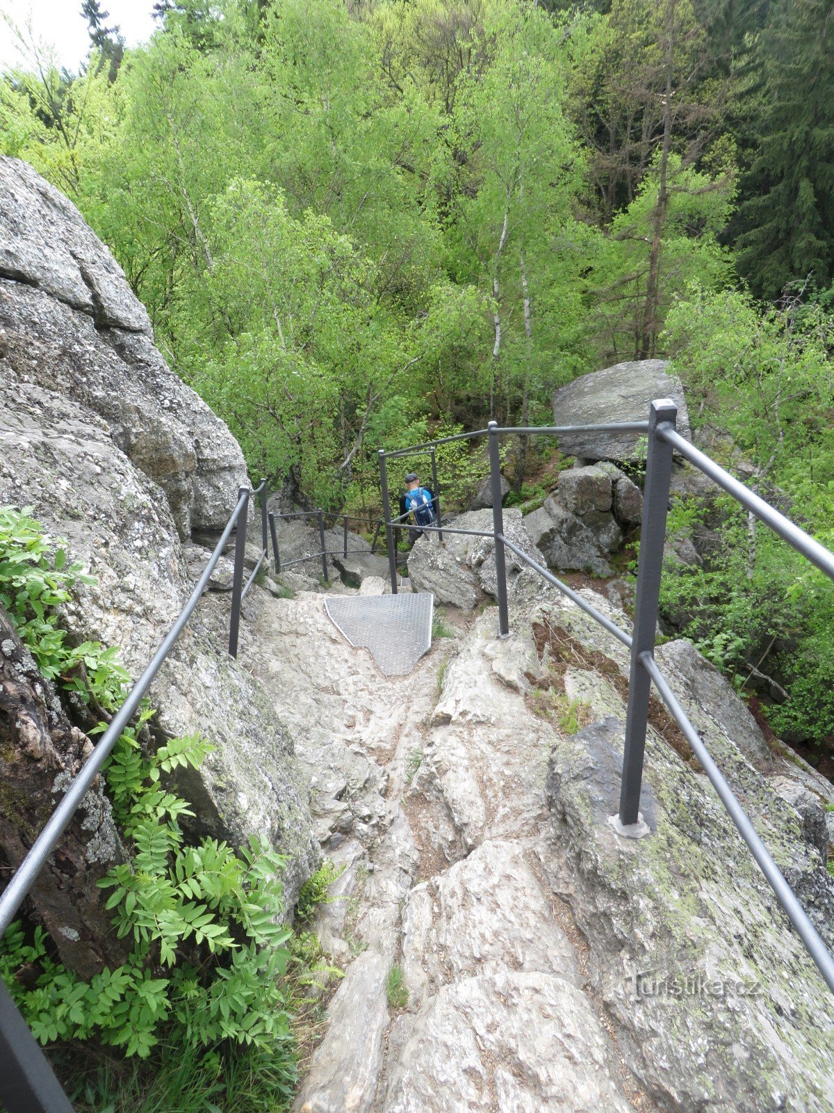 Crampones el camino a la cima