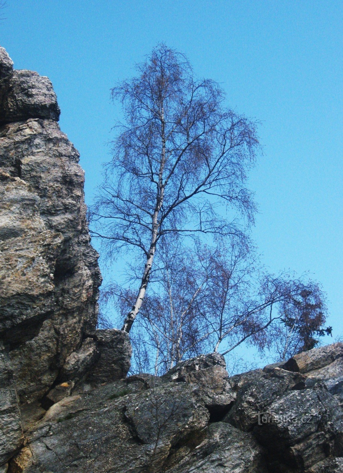 Брадло - вершинна скеля