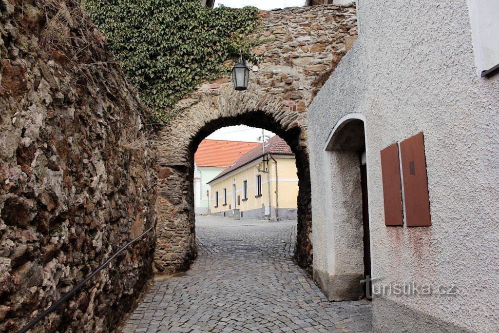 Branka Kocour in Horaždovice