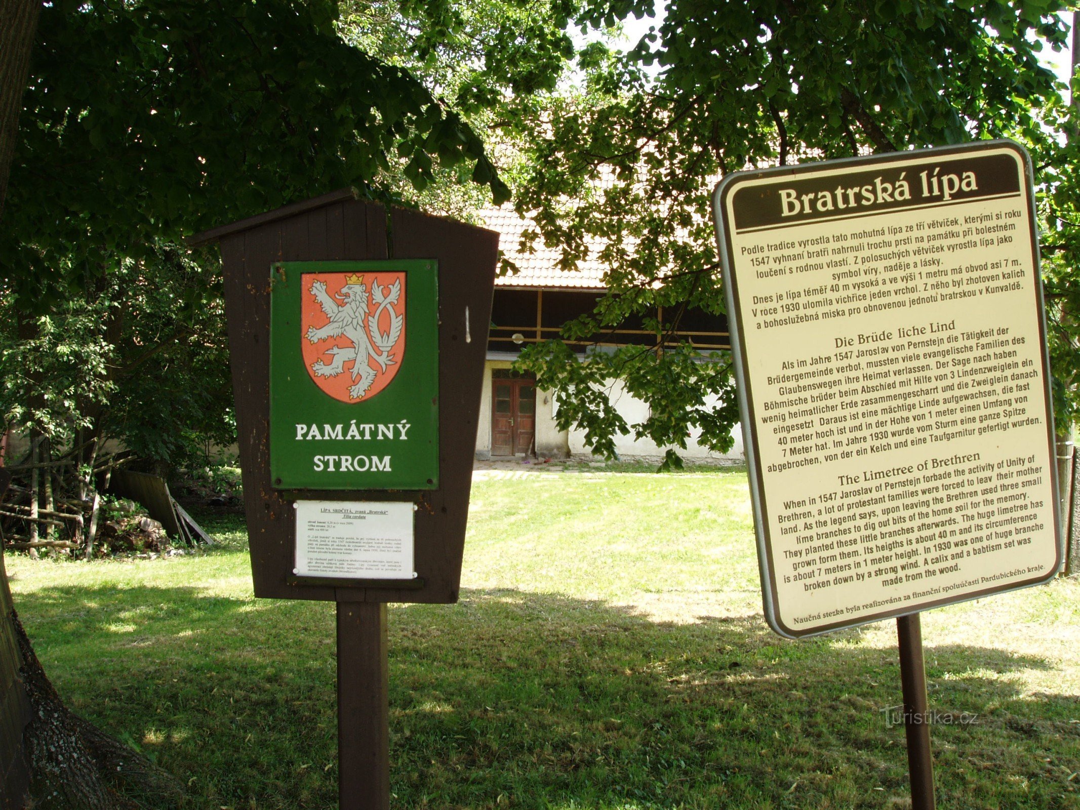 Bratrská-linden in het dorp Kunvald in de buurt van Žamberk