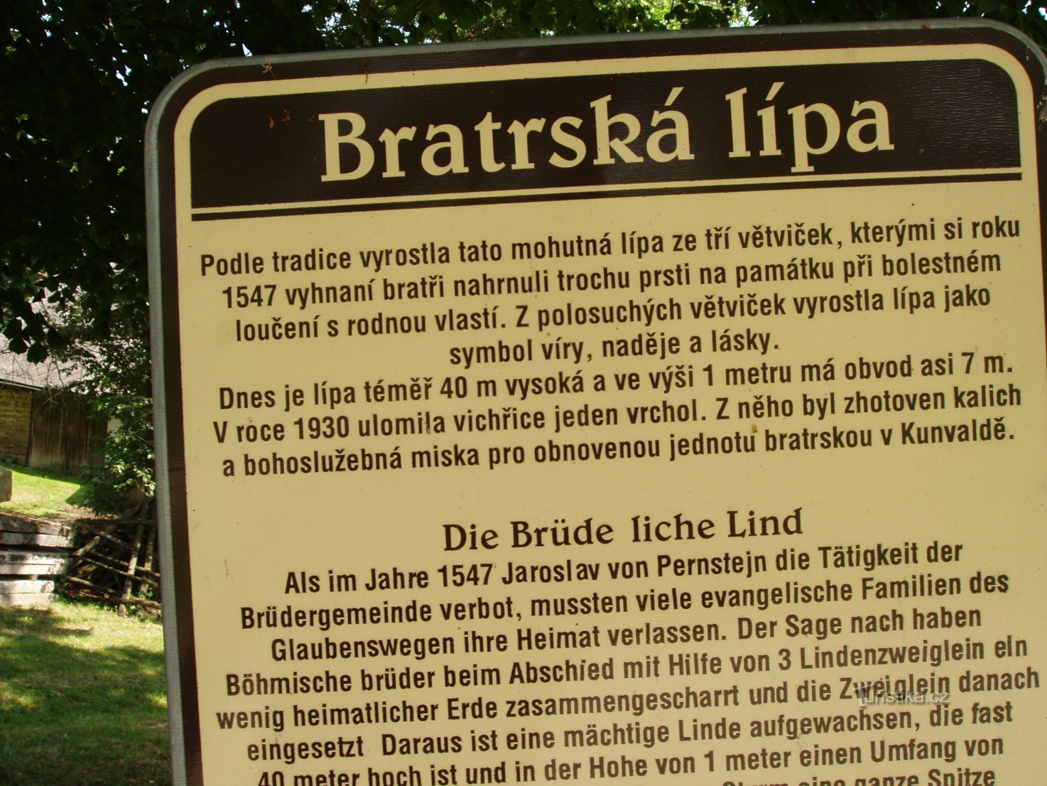 Tilleul de Bratrská dans le village de Kunvald près de Žamberk