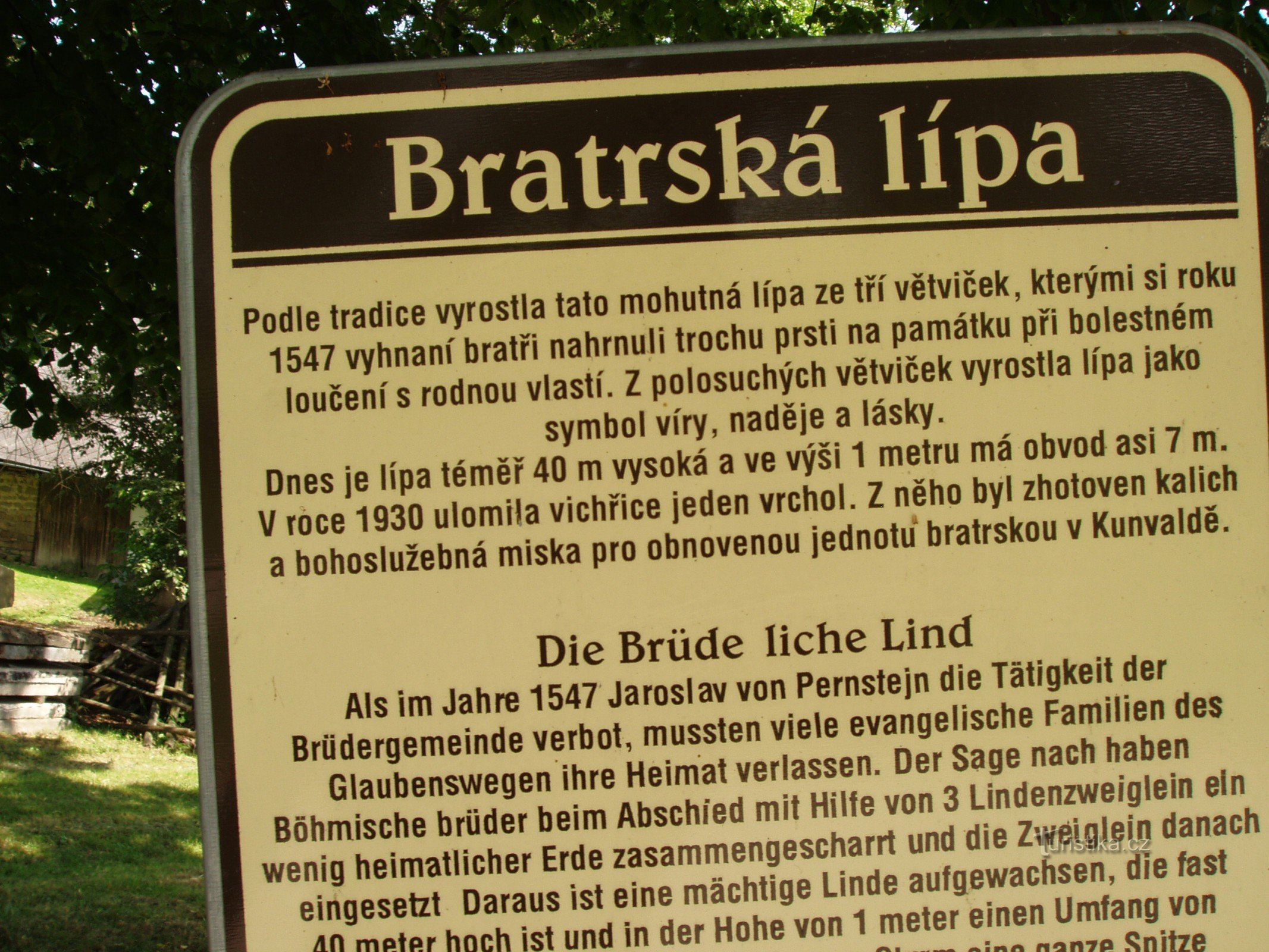 Bratrská linden i byn Kunvald nära Žamberk