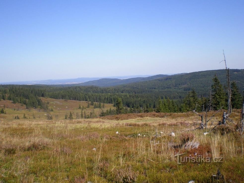 Brda and Jinecké ridges from Tok