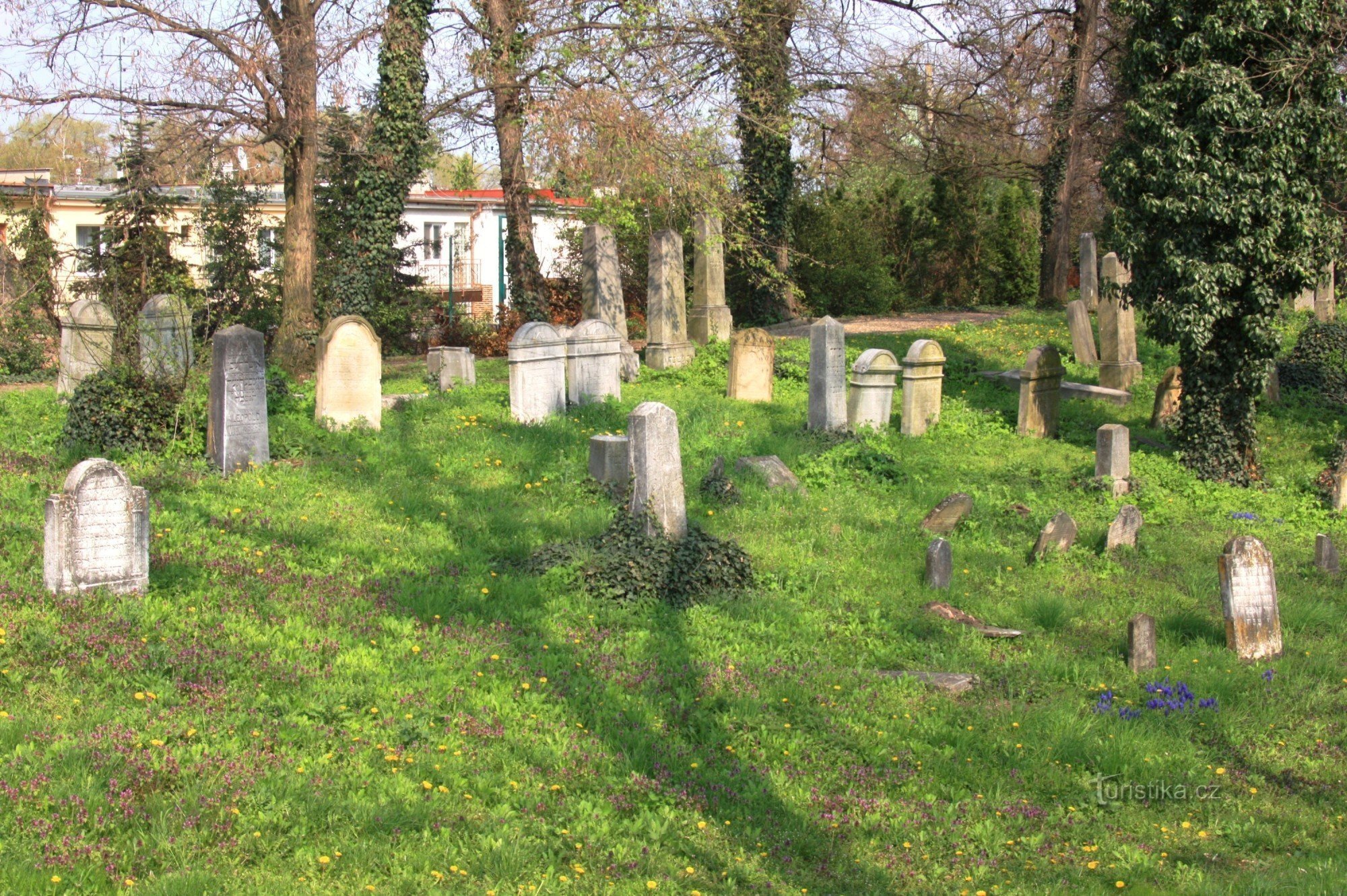 Břeclav - Jewish cemetery