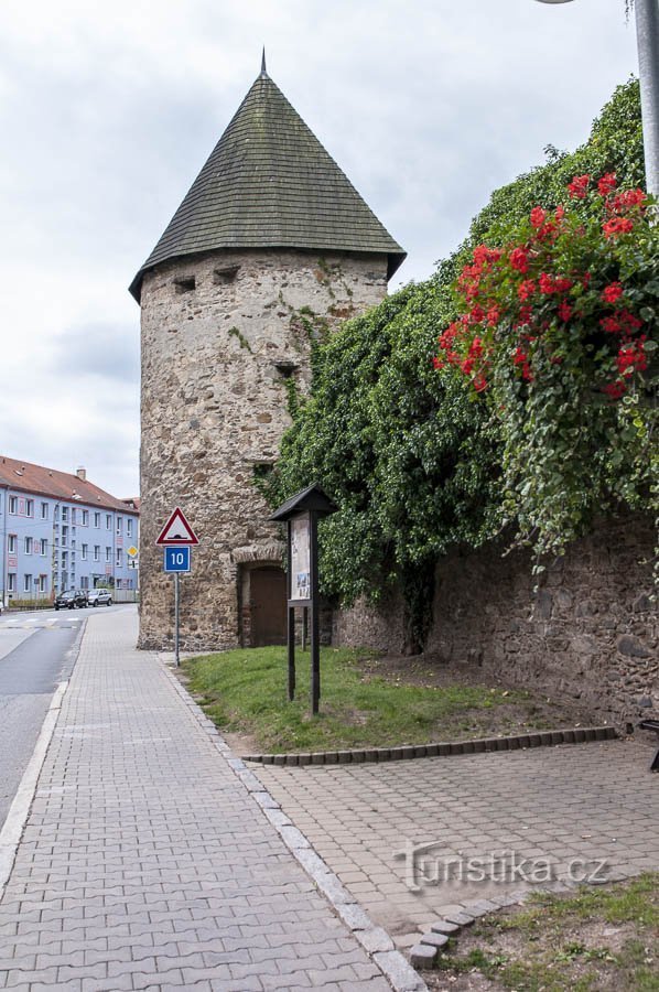 Un'edera vicino al bastione del castello