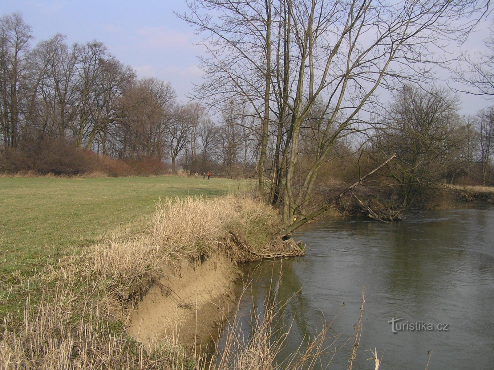 Ufer der Oder v