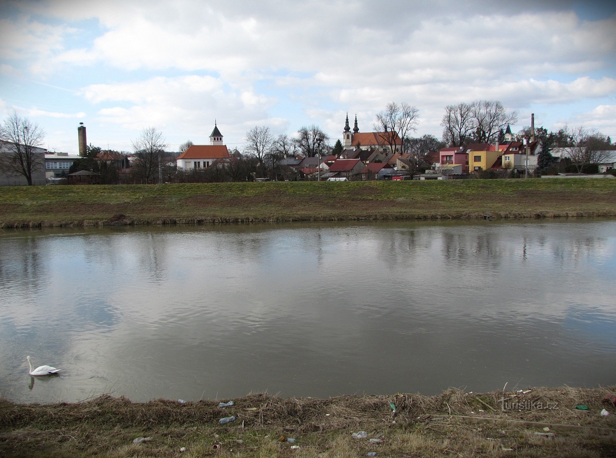 Stranden av Morava nära Kvasic