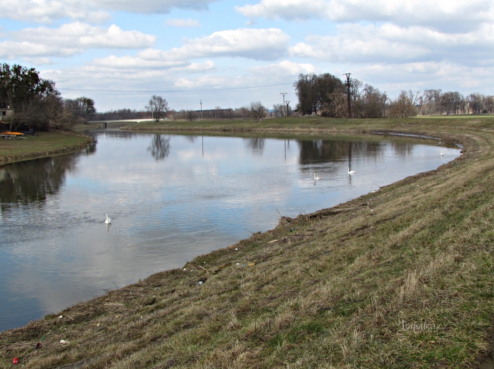 Les rives de la Morava près de Kvasic