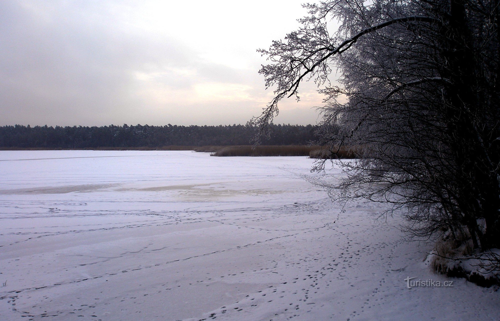 Břehyňský-Teich