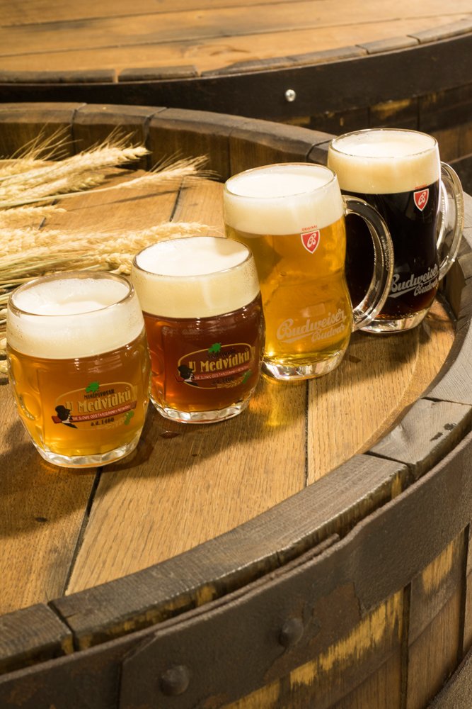 Ogled pivovarne in degustacija piva U Medvidek
