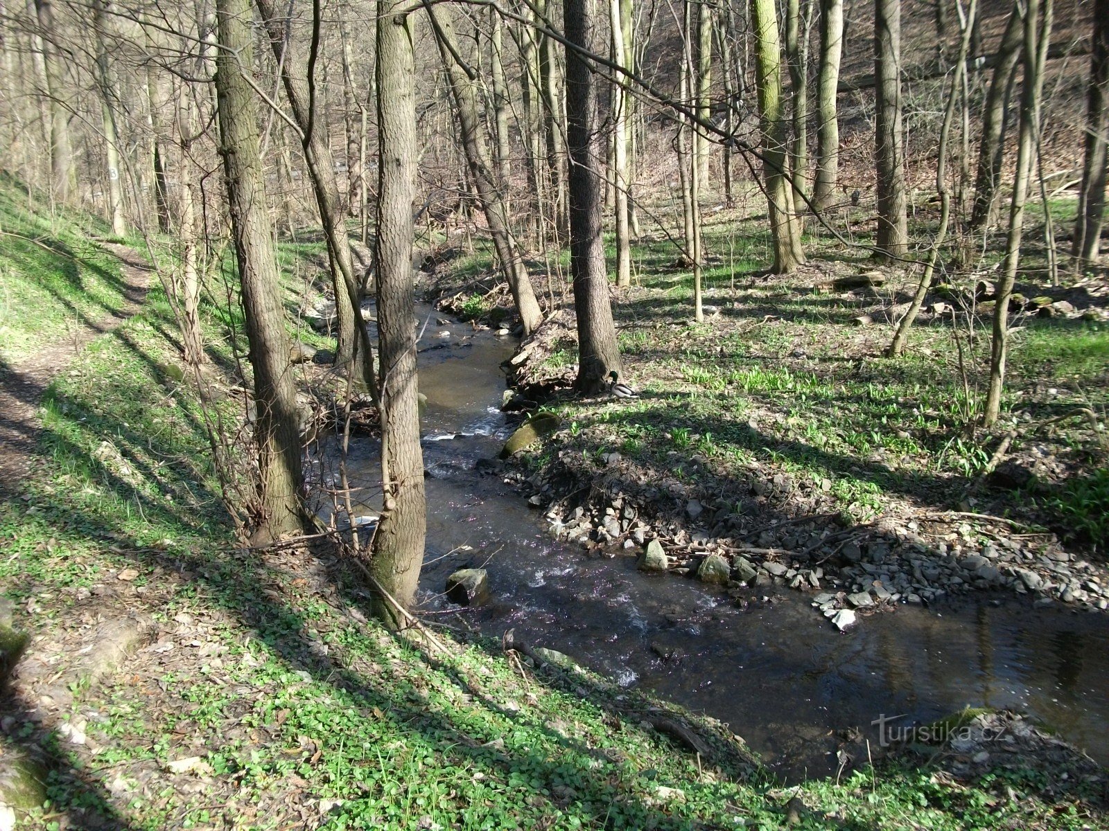 Potok Břežanský