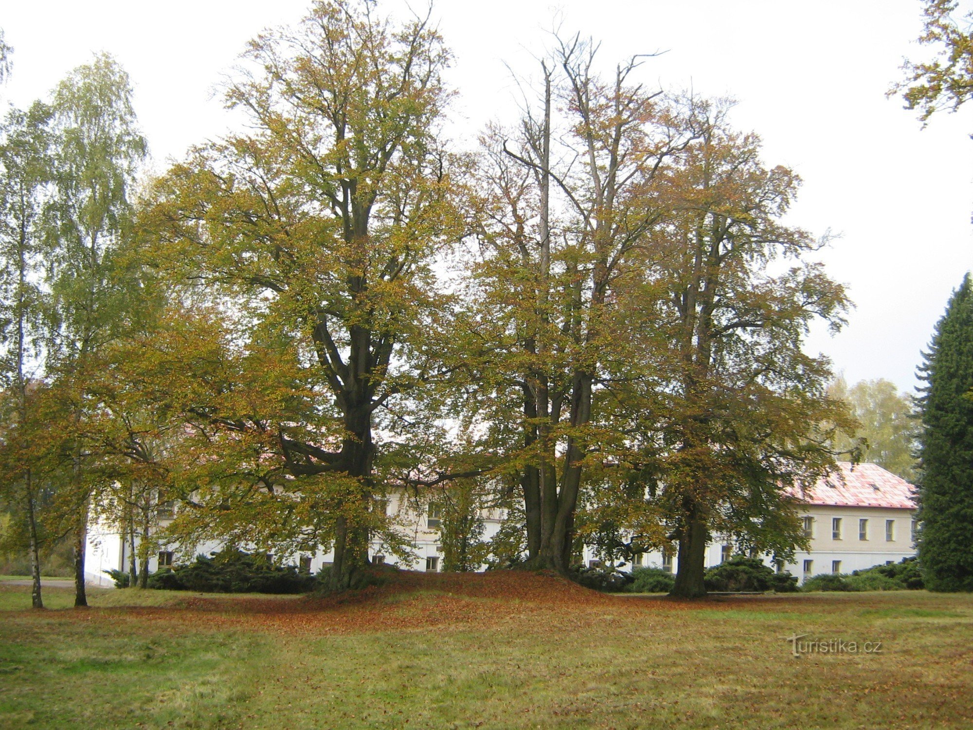 Březina - park and castle