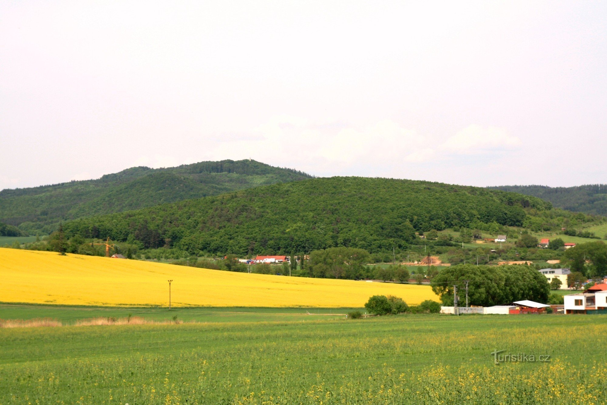 Březina - un monumento natural