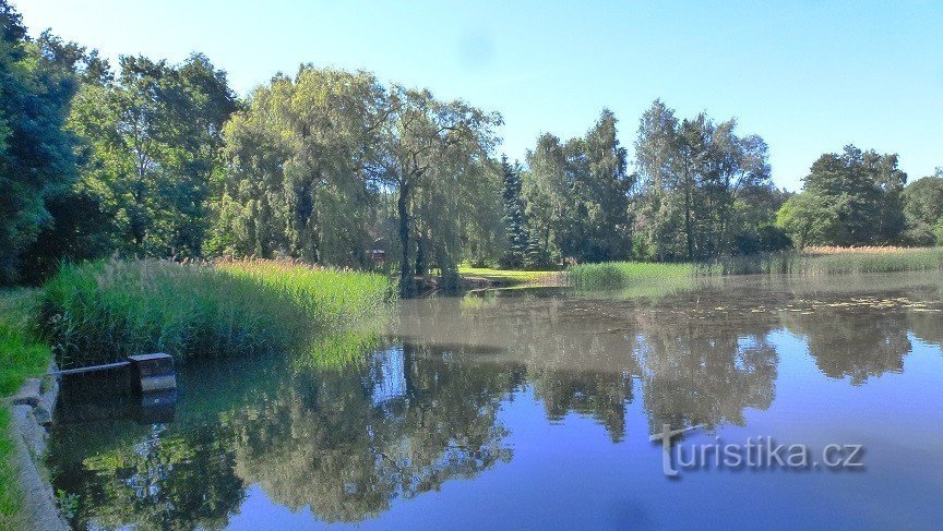 Březinský rybník - uitzicht vanaf de dam naar de linkeroever