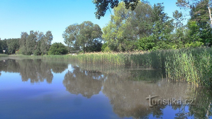 Březinský rybník - vedere de la barajul de pe malul drept