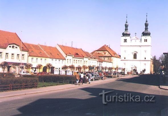 Brzeznice (stad)