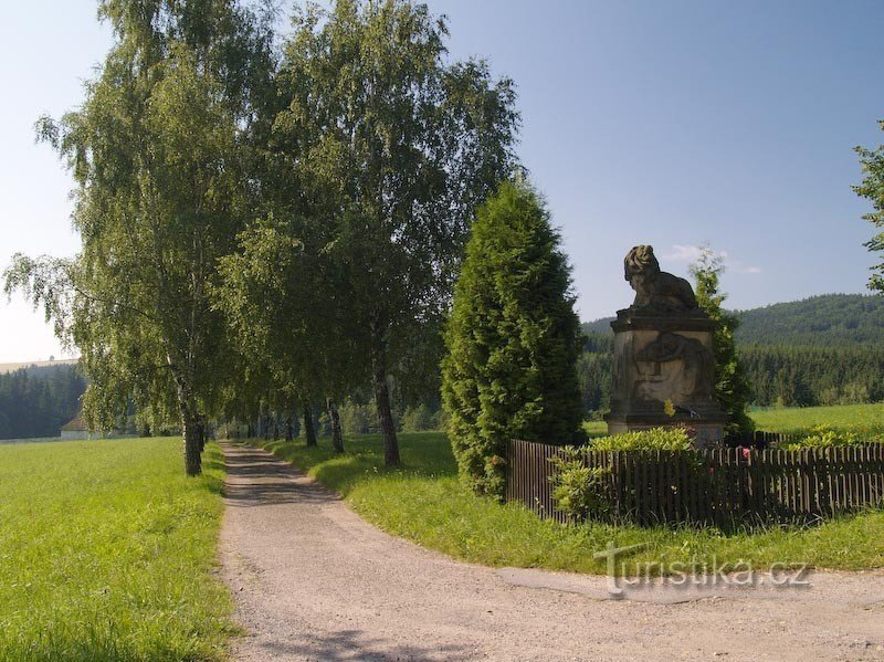 björkgränd framför kyrkogården i Březine