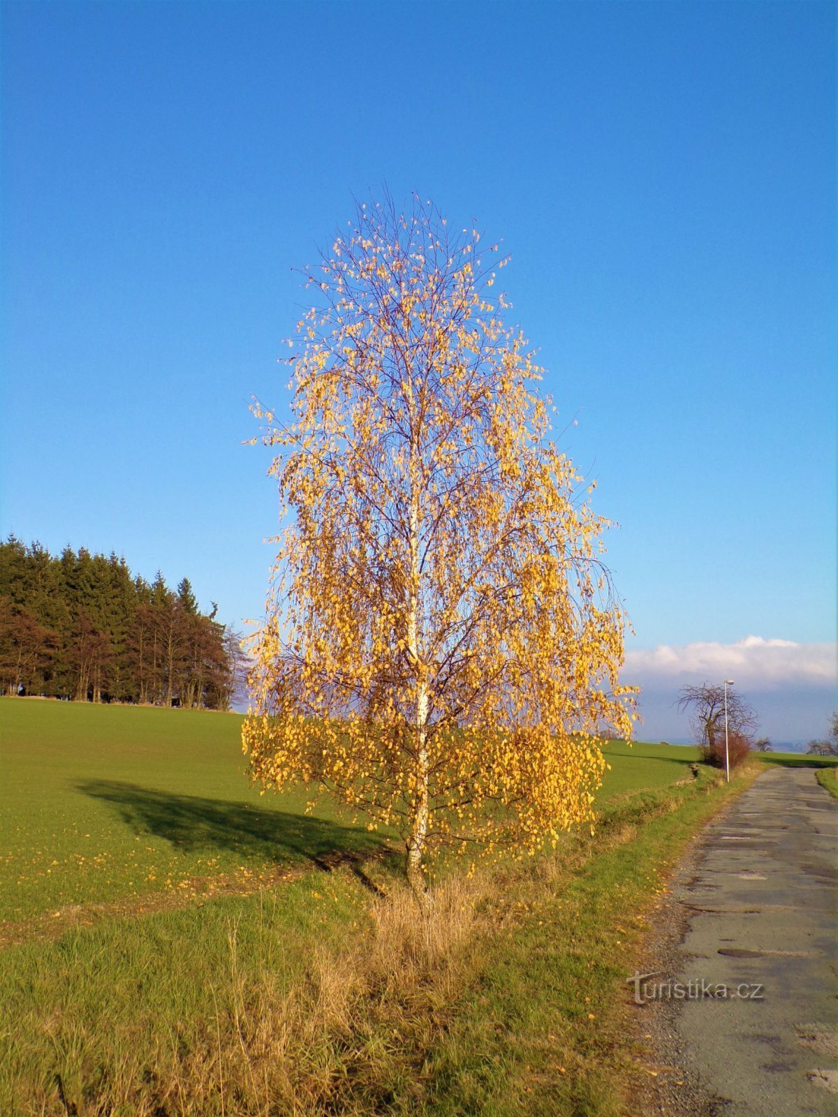 Berk op weg naar Mečov (9.11.2021 november XNUMX)