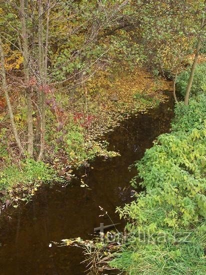 Břízka: View of the stream