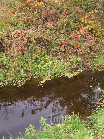 Břízka: Pogled na potok