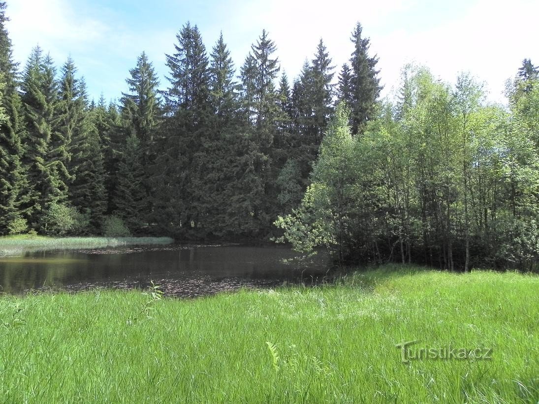 Lago Brlož