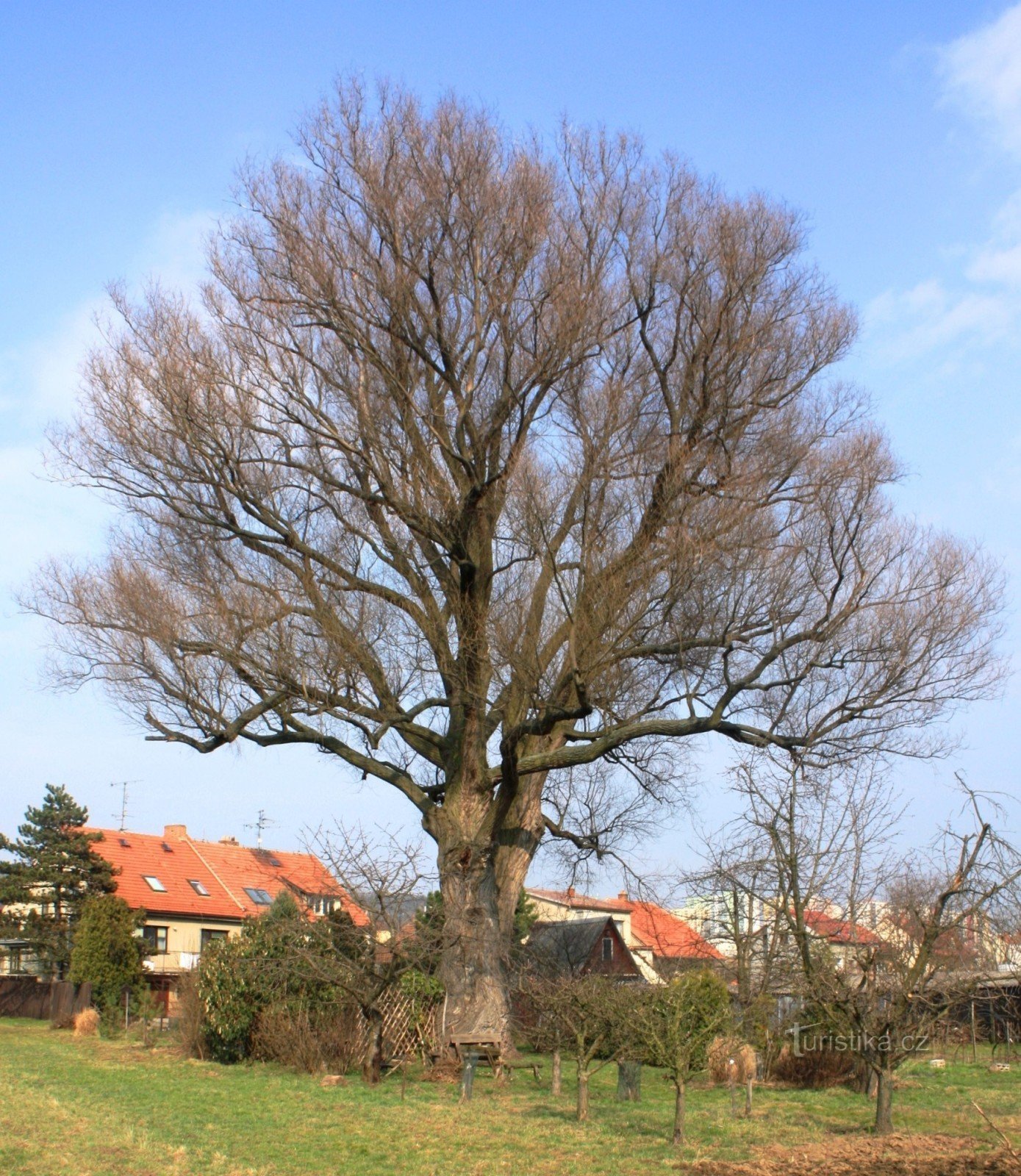 Brno-Bosonohy - Kiliánova vrba