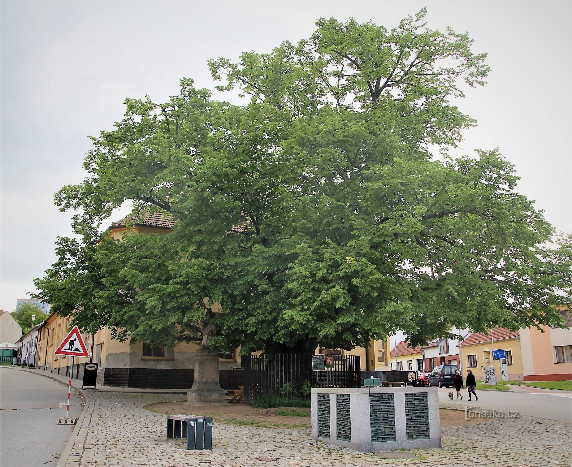 Brno-Bystrc - cây bồ đề đáng nhớ