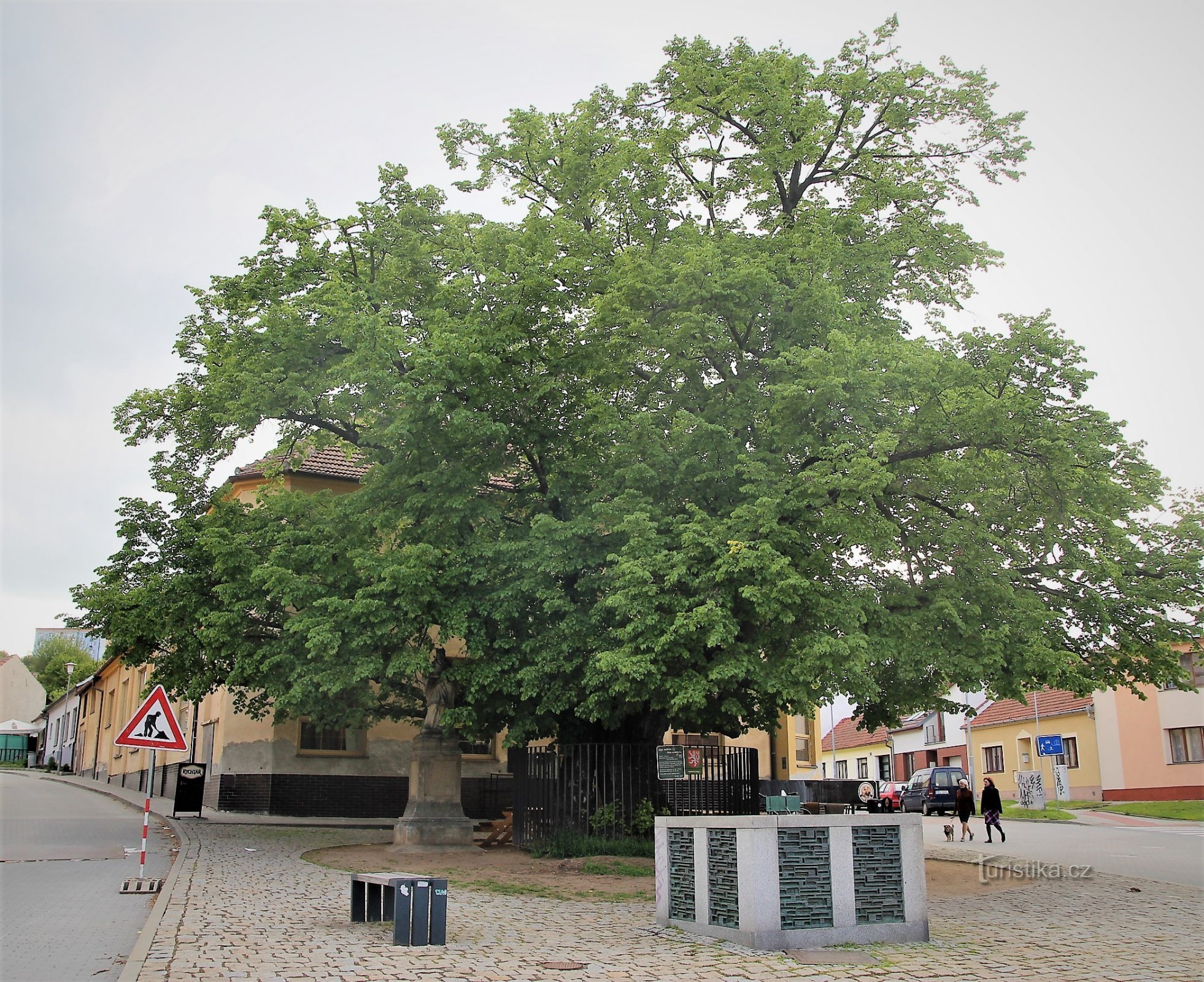 Brno-Bystrc - ikimuistoinen lehmus