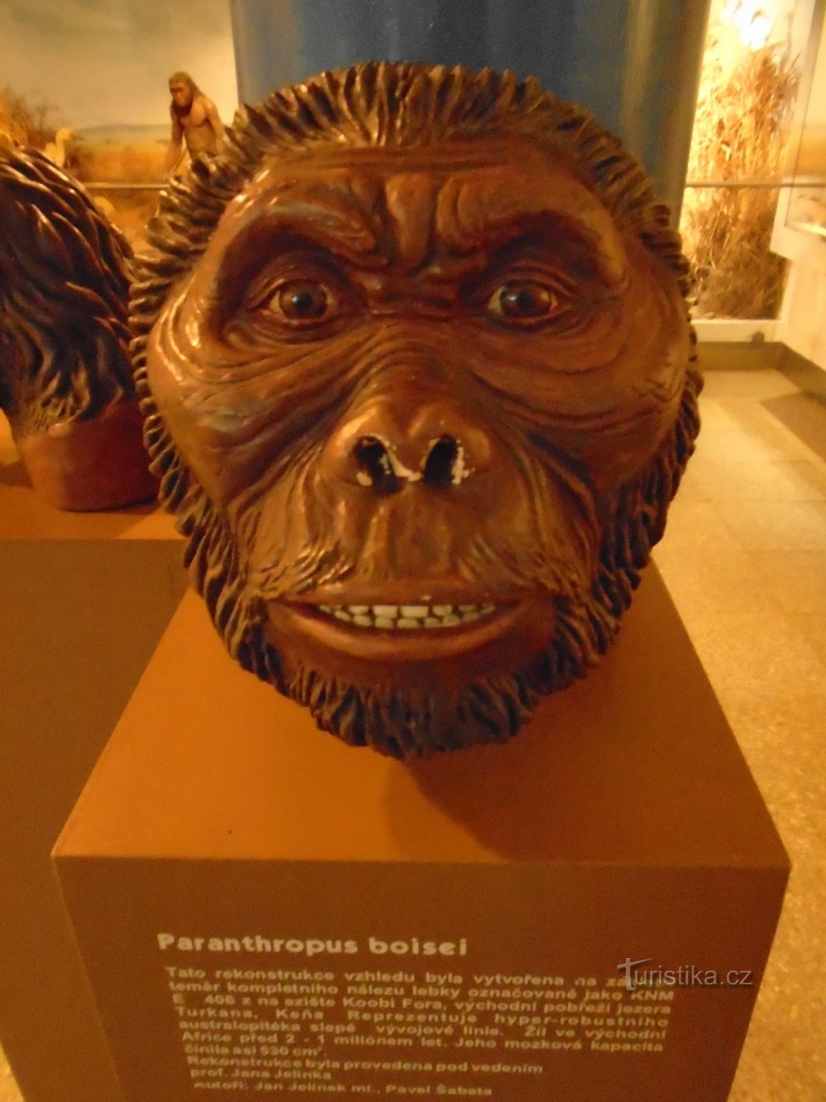 BRÜNN-MUSEUM DES ANTHROPOS