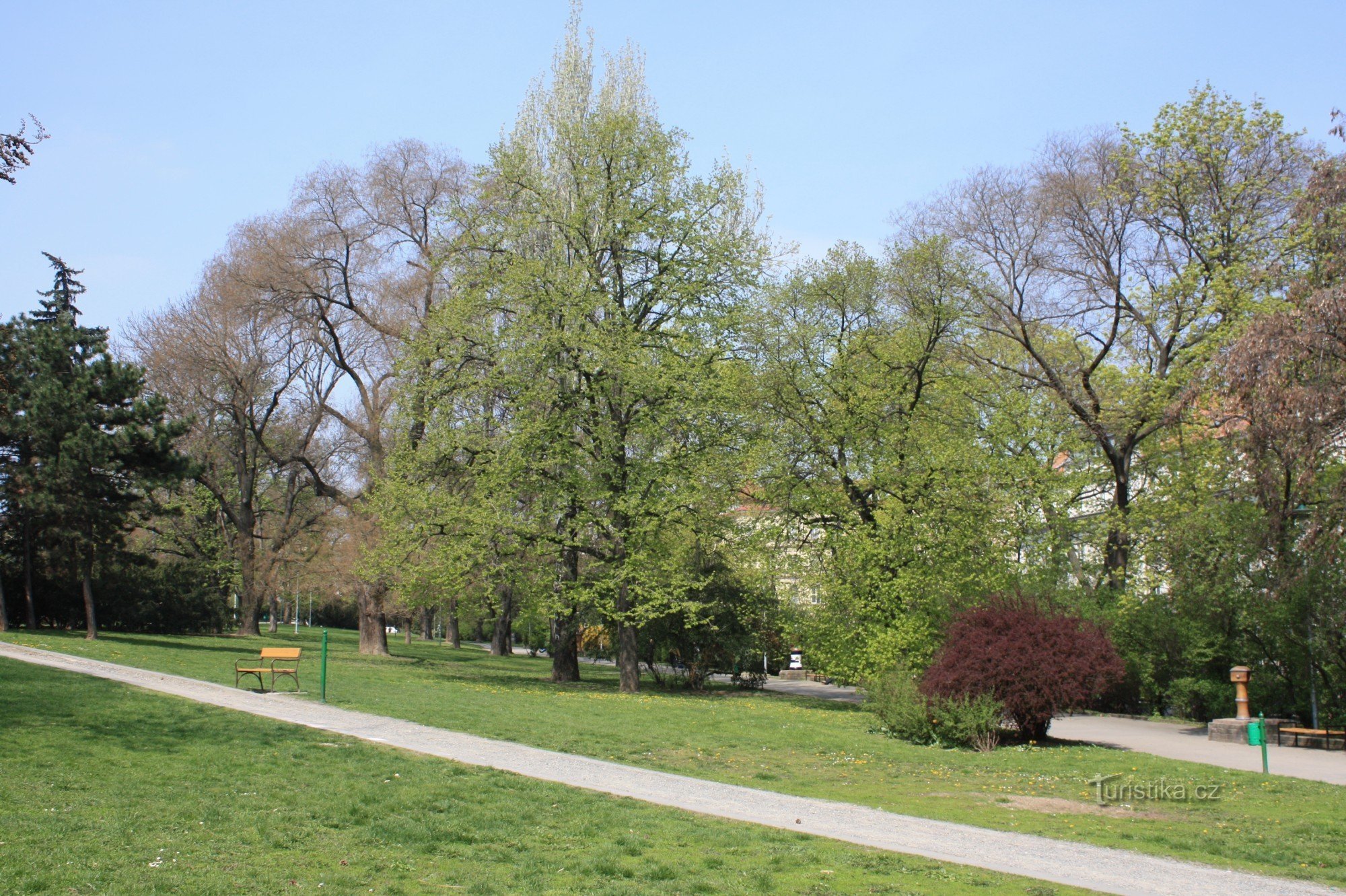 Brno - Koliště park