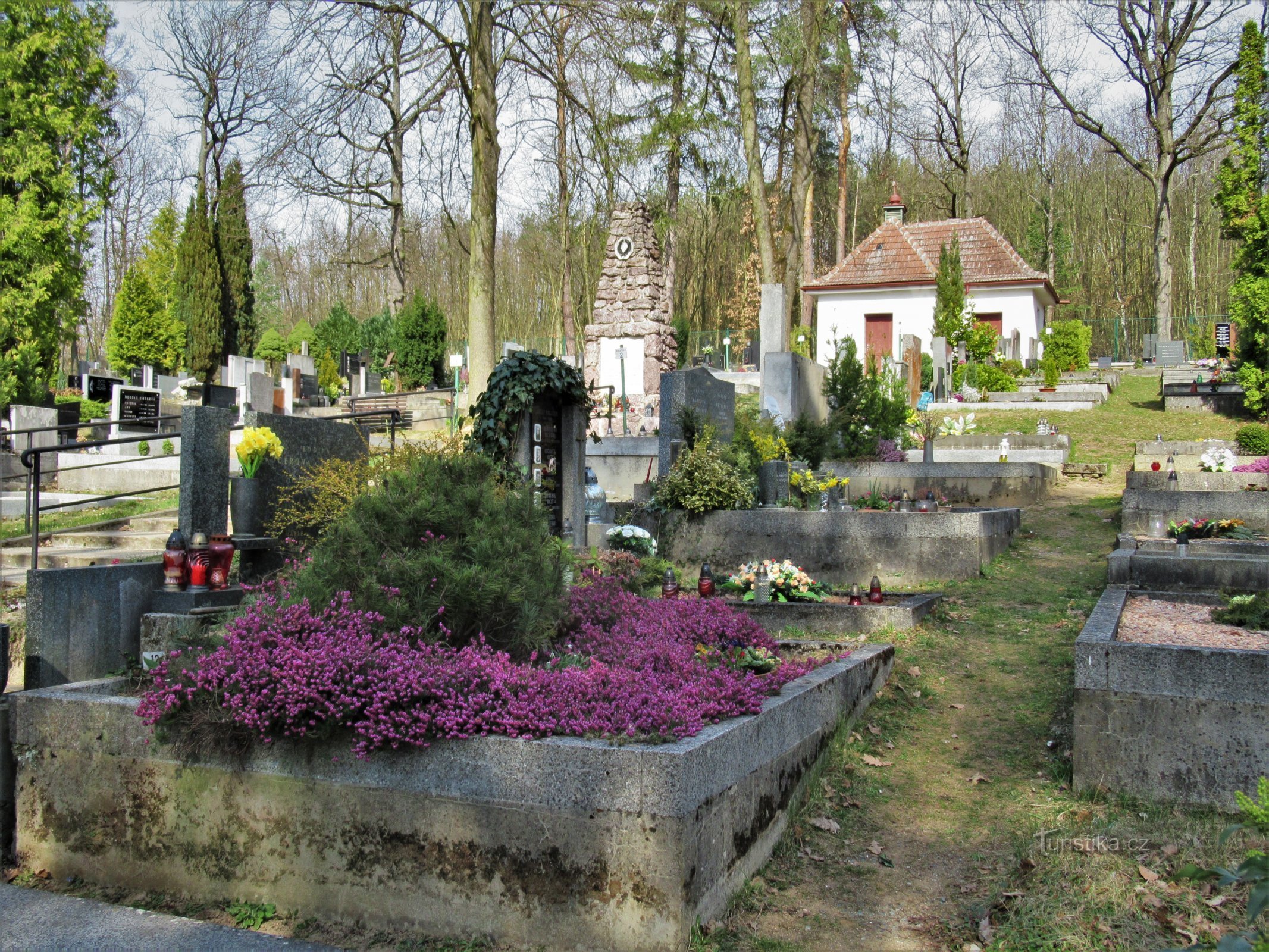 Brno-Soběšice - cimitir forestier