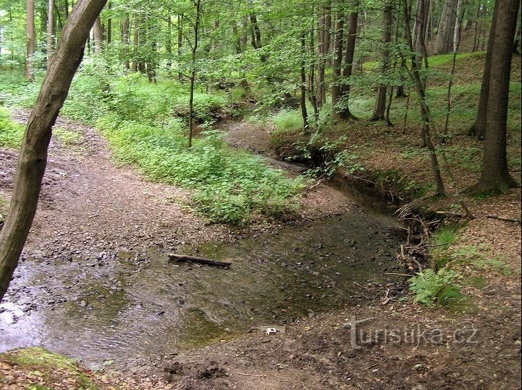 vadested i Schwarzwald