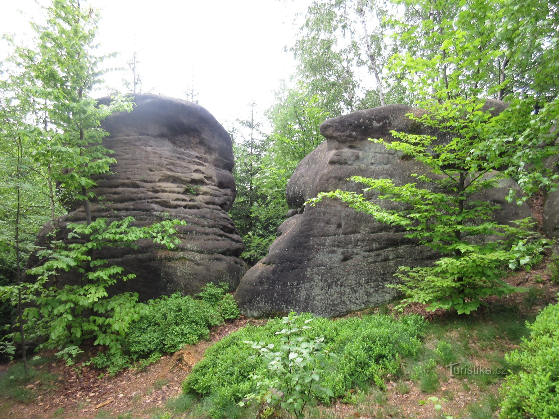 Broumovské falak – 2. út: Hvězda – Strážná hora – Honský Špičák – Hvězda