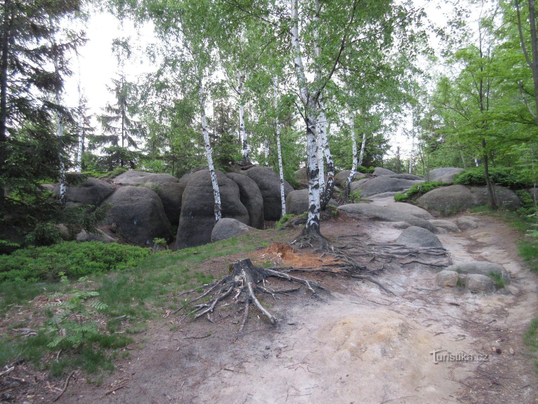 Paredes de Broumovské - 3ª viagem: Hvězda - Ninho do abutre - Kovárna - Hvězda