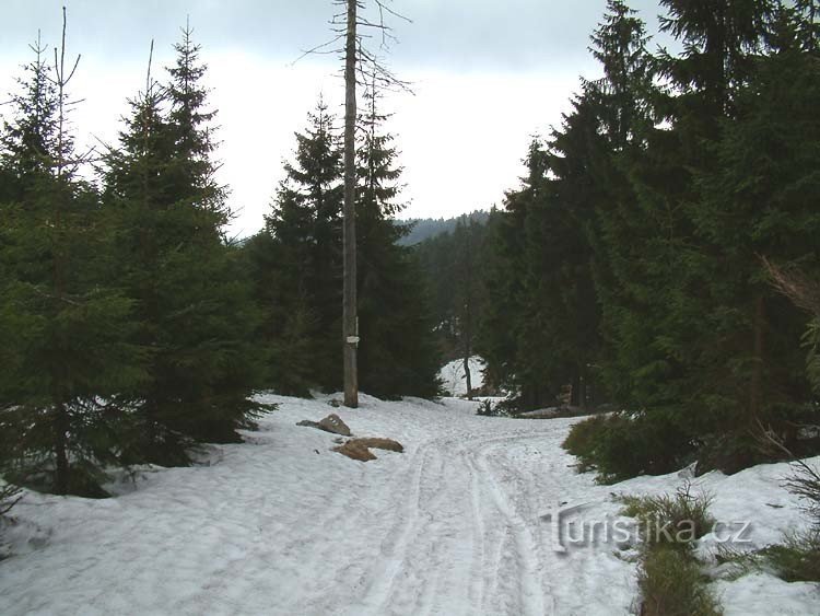 Pedra de amolar