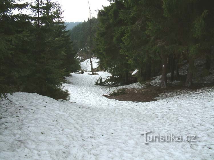 Pedra de amolar