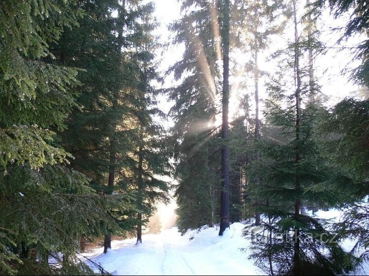 Cascadele de gheață Brtnické: Brtníky, drumul către cascadele de gheață. 19.2.06