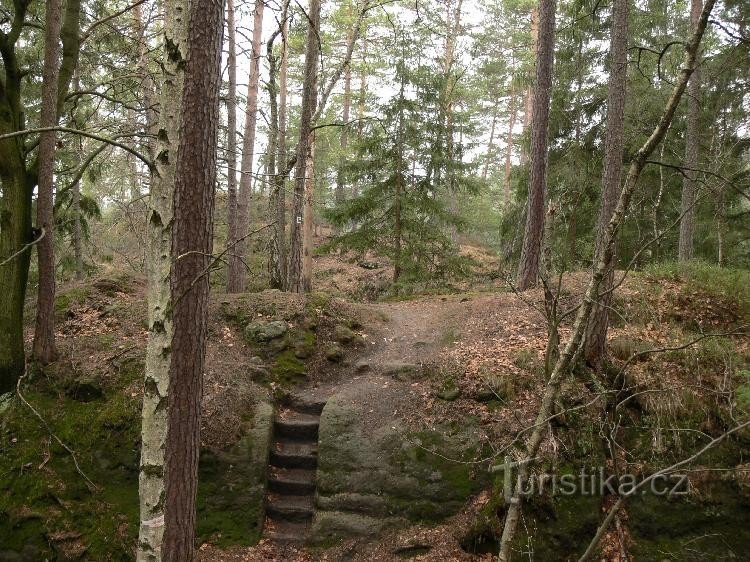 Бртницький замок: Під’їзна дорога 17.4.06