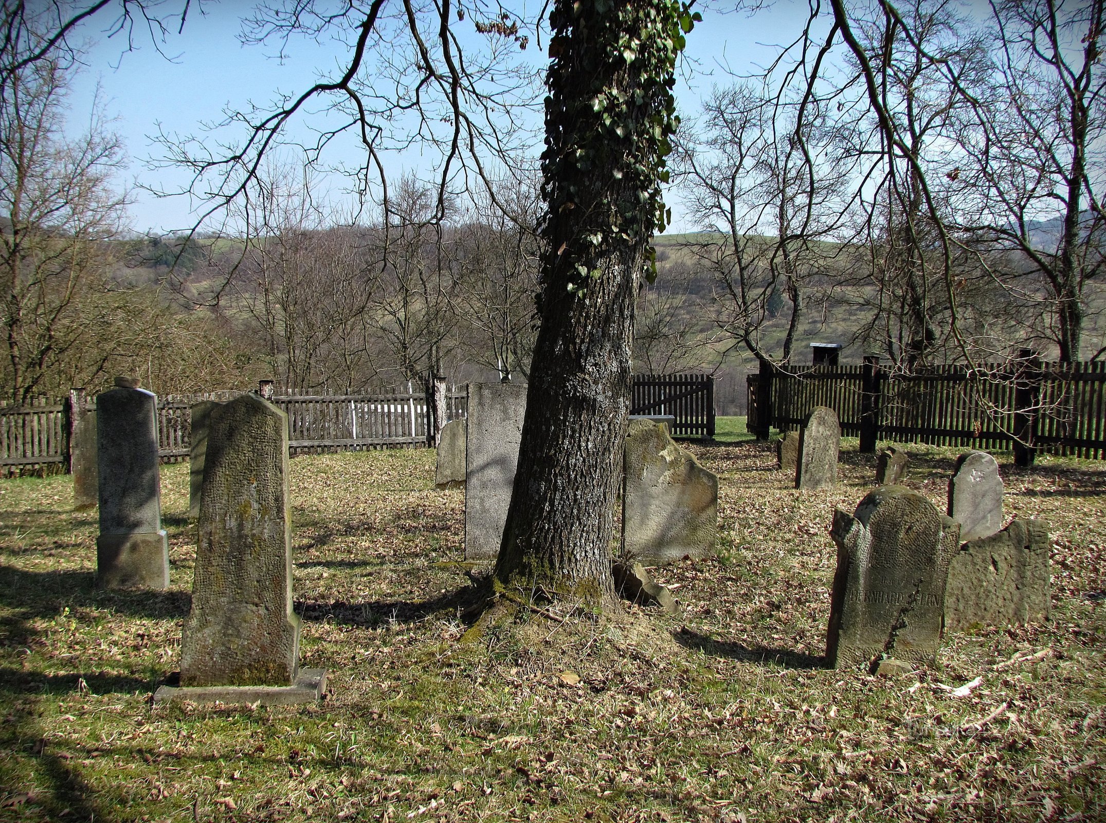 Cimitero ebraico di Brumovo