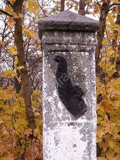 brzdový kámen - psí packa - čuba