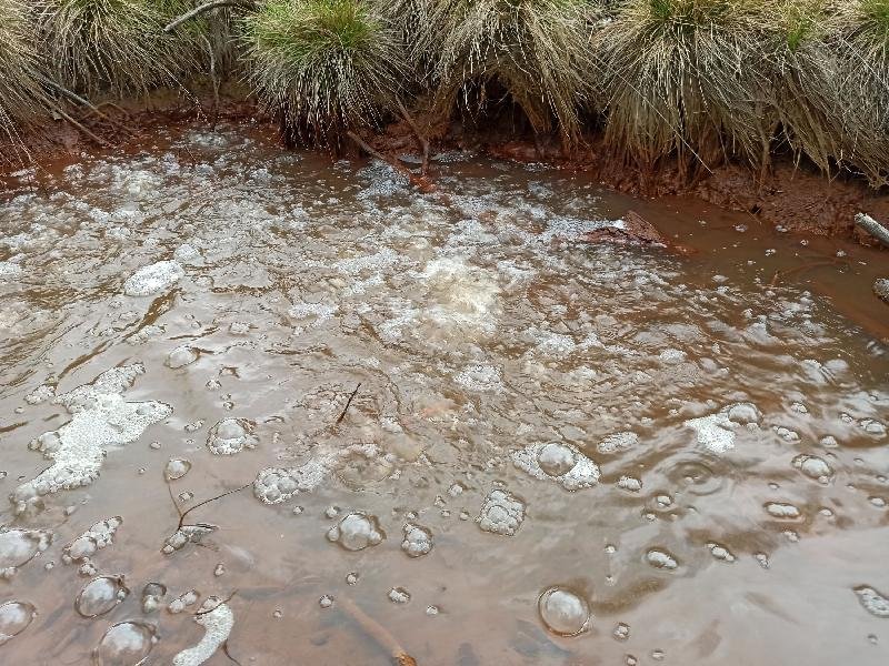 Bublák a niva Plesné