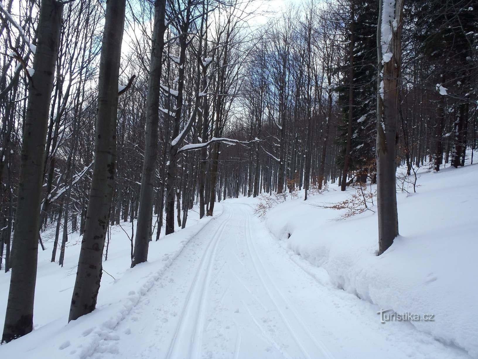 Bučinou kolem trati - 20.2.2012